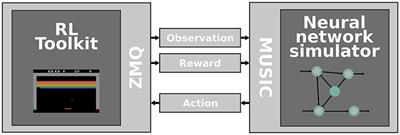 A Closed-Loop Toolchain for Neural Network Simulations of Learning Autonomous Agents